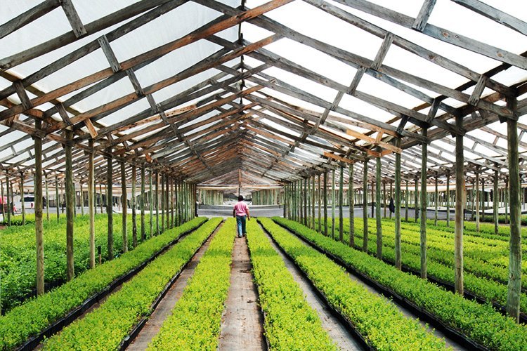 <p>Chilena Hortifrut cierra campos en México y realiza ajustes en Perú que le pasan la cuenta: firma registra pérdidas a septiembre</p>