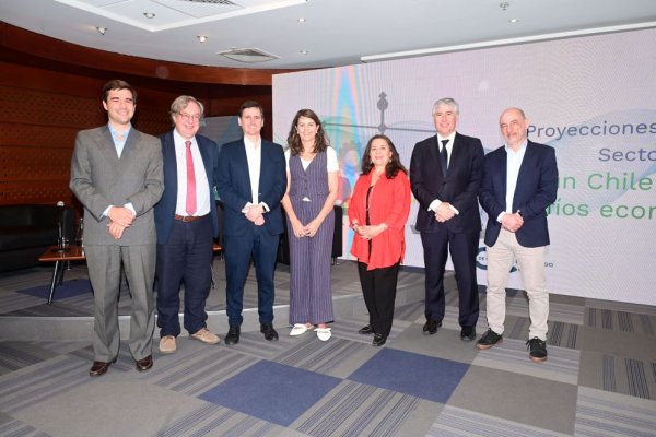 <p>Nicolás León (CChC), Francisco Gana (SNA), Rodrigo Mujica (Sofofa), María Teresa Vial (CCS), Lorena Arriagada (Achet), Matías Bernier (ABIF) y George Lever (CCS).</p>