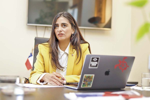 <p>La subsecretaria de Relaciones Económicas Internacionales, Claudia Sanhueza. Foto: Verónica Ortíz</p>