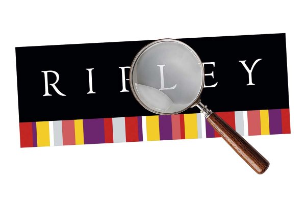 Por qué el plan de eficiencia puso freno al rally bursátil de Ripley