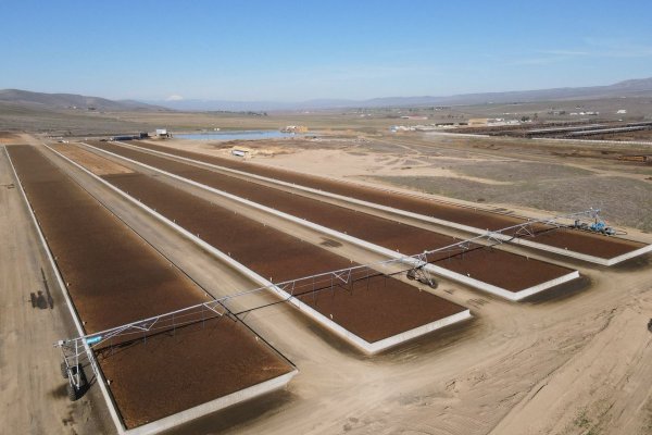 Biofiltro levanta US$ 35 millones: firma respaldada por Sandro Solari y el presidente de la UAI proyecta expansión en EEUU y Europa