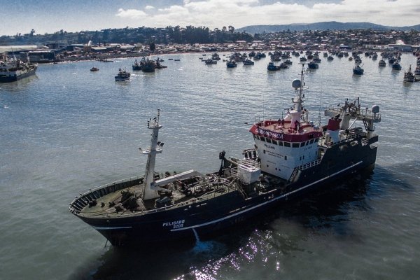 “Asociación ilícita”: Pescadores Industriales del Biobío advierten que tras robos de jurel en alta mar hay grupos organizados y con recursos