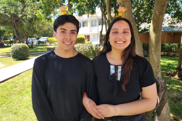 Estudiantes de la USM desarrollan app con IA que detecta si la abeja reina está en la colmena