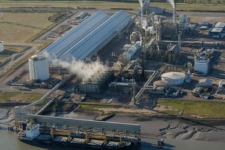 <p>Argentina Adecoagro toma el control de Profertil y se prepara para quedarse con la parte YPF</p>