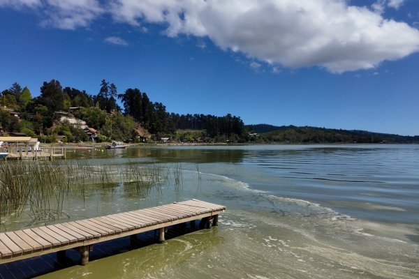 Qué harán los tradicionales veraneantes de Vichuquén ante la crisis de contaminación del lago