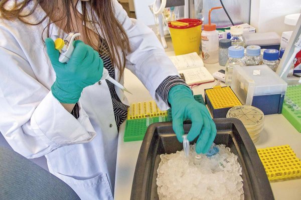 Cinco innovaciones chilenas destacadas por el Inapi que buscan escalar en Chile y el mundo en 2026