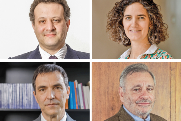 <p>Gabriel Bocksang. Isabel Aninat. Jaime Couso. Pablo Ruiz-Tagle.</p>
