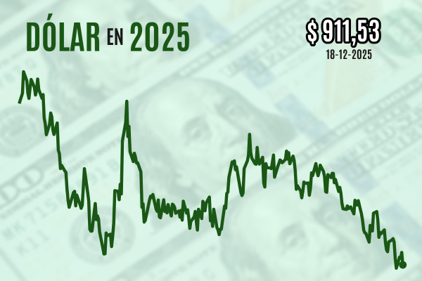 <p>Dólar cierra con fuerte caída y queda al borde de mínimos desde octubre de 2024 luego de que el IPC de noviembre sorprendiera a la baja en EEUU</p>
