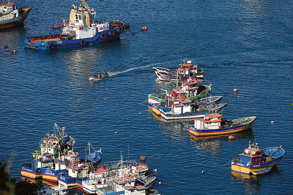Ley Lafkenche: Subpesca da por emitido pronunciamiento favorable a Espacio Costero Marino de Pueblos Originarios por 44 mil hectáreas entre La Araucanía y Biobío