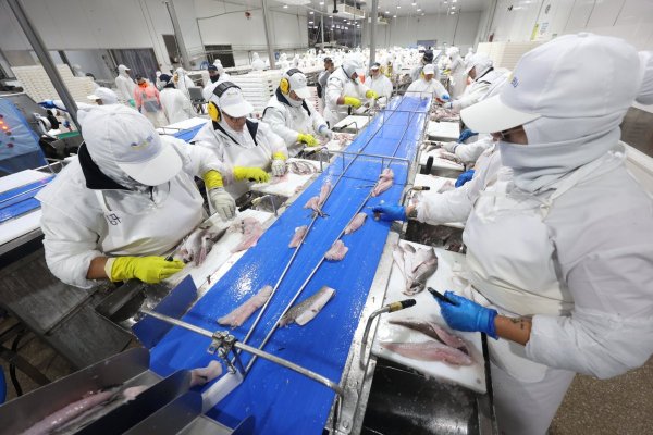 Resurge polémica por Ley de Fraccionamiento Pesquero: industriales y artesanales piden a Contraloría impugnar apertura de registro a nuevos actores