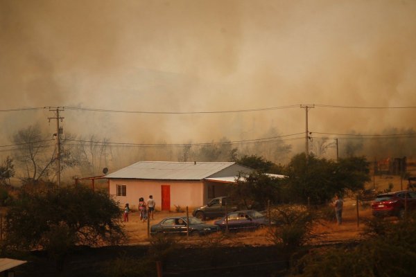 Biobío declara Alerta Roja por calor extremo: condiciones son propicias para incendios forestales