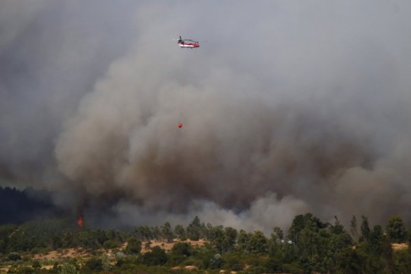 Senapred decreta Alerta Roja en Mulchén y Tomé por incendios forestales con amenazas a viviendas