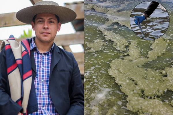 Caos total en Vichuquén: exigen declarar zona de catástrofe por colapso ambiental del lago y Contraloría destituye a alcalde