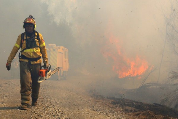 Corma emite dura condena: brigadistas fueron atacados con armas de fuego mientras combatían incendio en Curanilahue