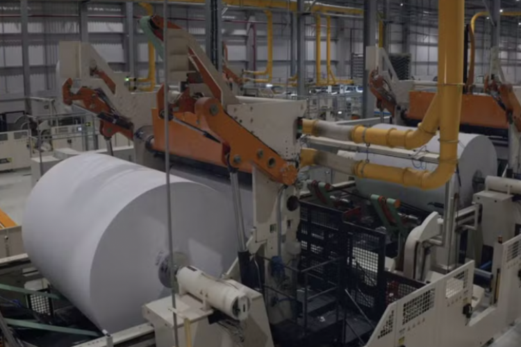 <p>Brasileña Suzano cierra fábrica en Sao Paulo y despide a 90 empleados</p>