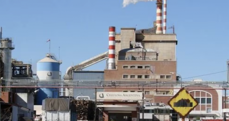 <p>La "nueva Celulosa" en Argentina arrancó con pérdidas de más de US$ 67 millones</p>