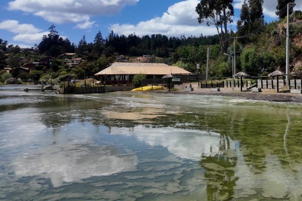 No es sólo Vichuquén: advierten que contaminación crítica de las aguas amenaza a los principales lagos de Chile