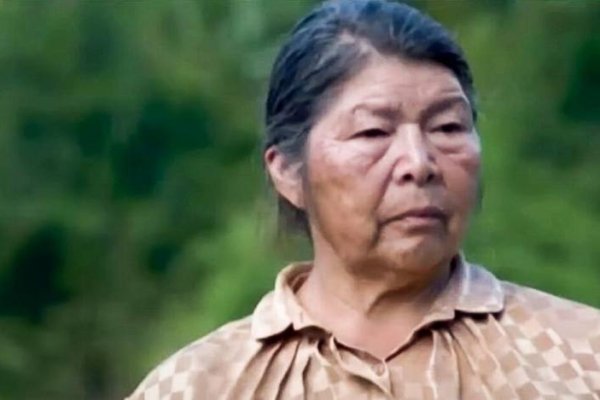 La ONG que la convirtió en activista, el inexistente perro Cholito y otras claves: el vuelco del caso Julia Chuñil