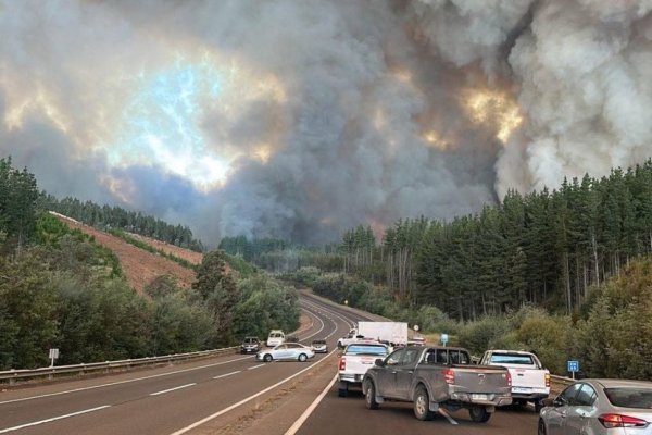 Toque de queda en el Gran Concepción tras Estado de Catástrofe en Ñuble y Biobío por incendios forestales