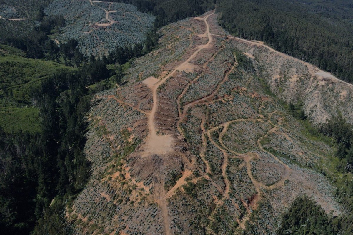 <p>Minera Aclara sale a rechazar rumores que vinculan al proyecto con origen de incendios forestales en Penco</p>