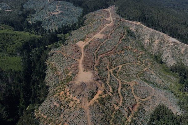 Minera Aclara sale a rechazar rumores que vinculan al proyecto con origen de incendios forestales en Penco