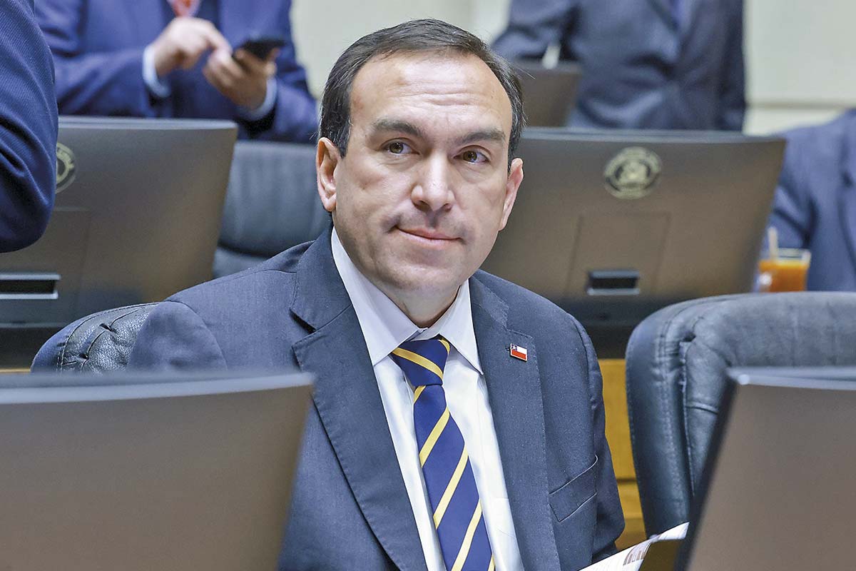 <p>UDI suma un diputado en la Cámara, después de recuento de votos</p>