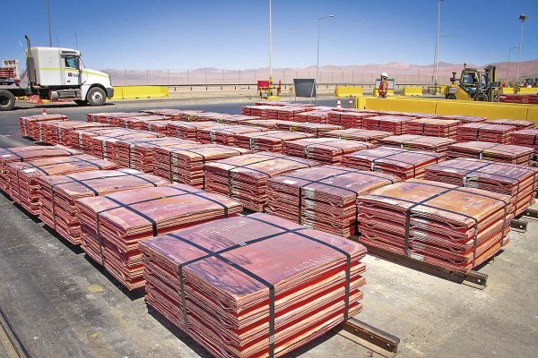 Acción de Pucobre registra volatilidad histórica en la bolsa por avalancha de inversionistas retail