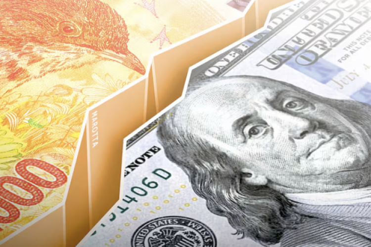 <p>Banco Central de Argentina compró más de US$ 1.000 millones en lo que va de enero en medio de leve subida diaria del dólar</p>