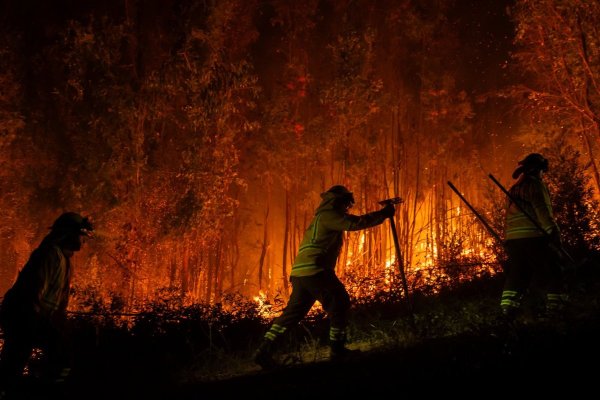 SEA paraliza tramitación de inversiones en el Biobío y Ñuble debido a los incendios y CPC pide no hipotecar la reactivación