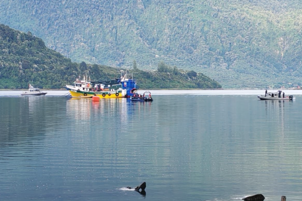 Naufragio de embarcación que prestaba servicios a Salmones Austral deja un fallecido y cinco desaparecidos en el Estuario de Reloncaví