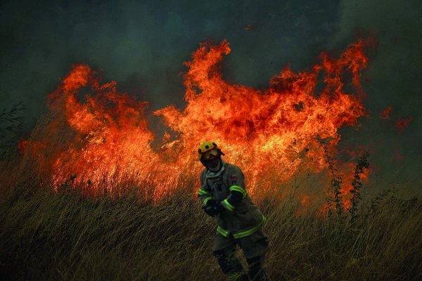 Senado aprueba por unanimidad Ley de Incendios: iniciativa limita desarrollo de proyectos inmobiliarios o productivos en zonas de interfaz urbano-rural