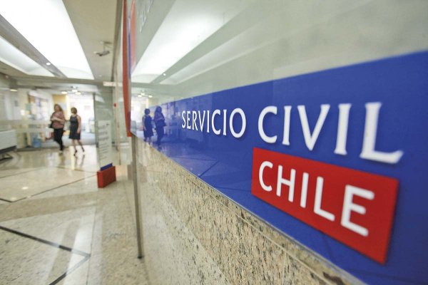 ¿En qué va la selección del consejo asesor de la licitación de stock? 24 candidatos pasaron a fase de entrevista
