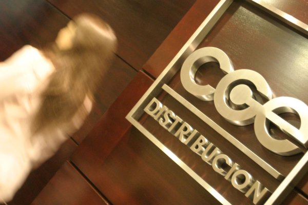 CGE deberá pagar $ 400 millones por su responsabilidad en el origen de un incendio de 2019 en la comuna de Navidad