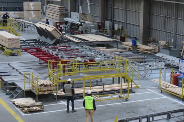 SMA formula cargos contra empresa maderera ITI Chile por incumplimientos ambientales en planta de Coronel