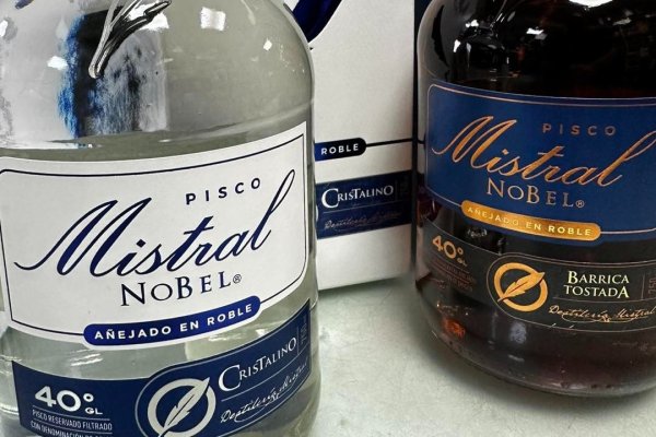 Cooperativa Control Pisquero, productora de uva para Pisco Mistral, Campanario y Horcón Quemado, activa 13 mil empleos temporales en vendimia 2026