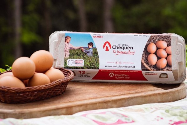 Avícola Chequén del Biobío anuncia cierre tras brote de gripe aviar de 2023 y apunta a una lenta reacción del SAG