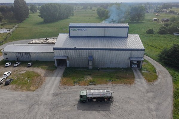 Dueño de Yemita y Champion Dog toma el control total de firma agrícola Agrosocios y proyecta duplicar negocio en el sur