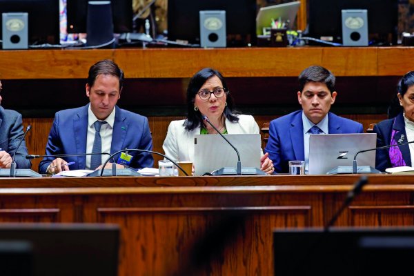 <p>CFA avanza en informe sobre desvío fiscal y reconoce inquietud por cálculo de ingresos para este año</p>