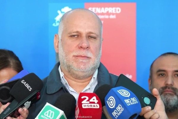 <p>Ahora en DF | Gobierno detalla ayudas para damnificados por recientes incendios forestales en la región del Biobío</p>