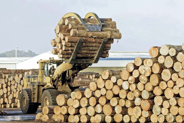 Exportaciones forestales del Biobío caen 40,7% presionadas por China y la inestabilidad global