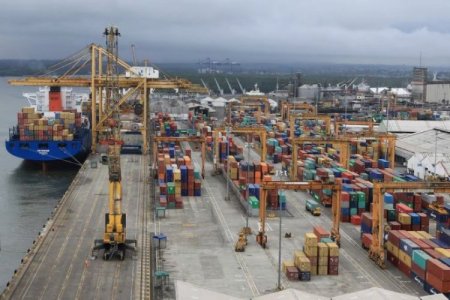 Industria del café, flores y petróleo pone ojo a nuevos aranceles de Trump: ¿cómo impactarían en Colombia?