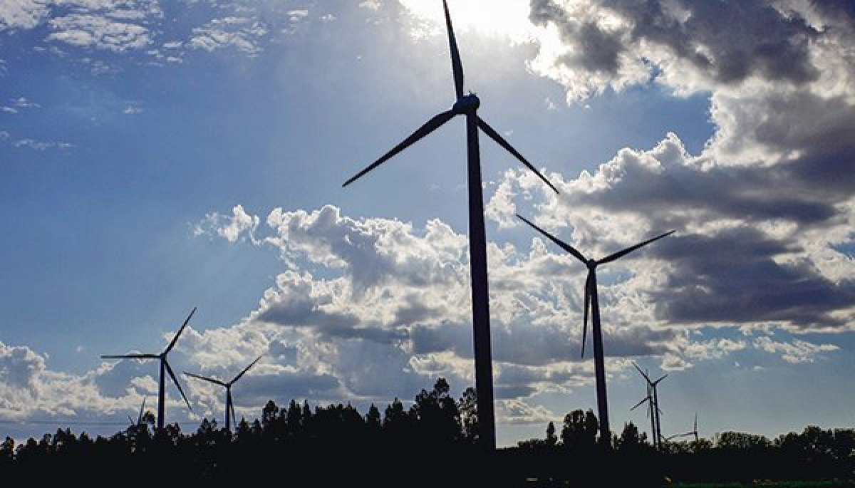 <p>Coeva de Biobío aprueba RCA para Parque Eólico El Rosal de Engie con inversión de US$ 210 millones</p>
