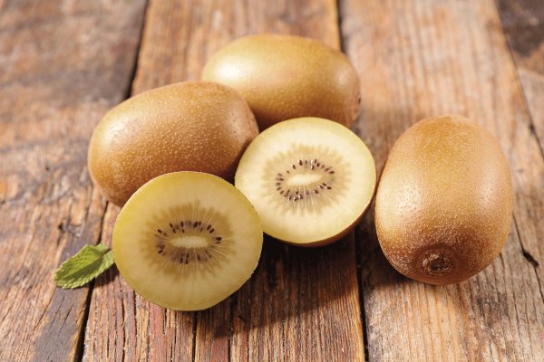 La cruzada de 25 años por cosechar con éxito el kiwi amarillo en Chile para competir con Nueva Zelanda