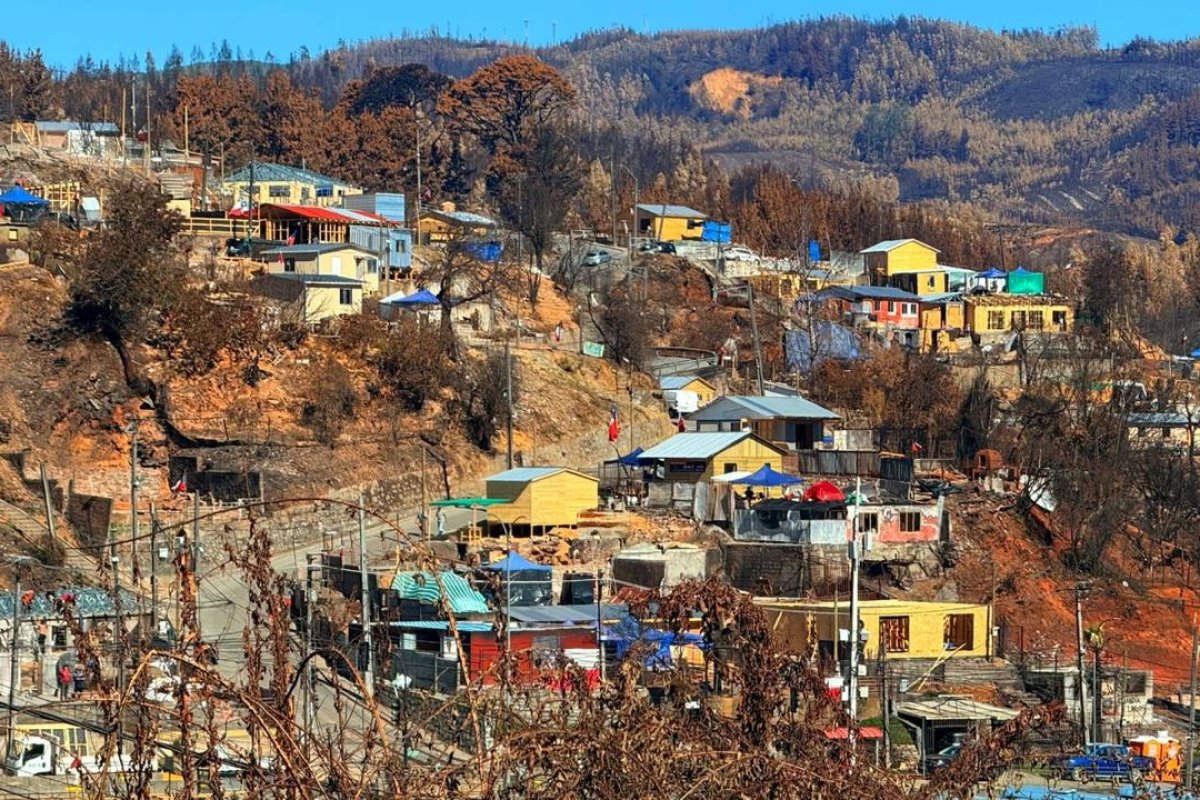 <p>Sernac lanza cotizador de materiales de construcción tras megaincendios en Concepción: diferencias de hasta 62% en insumos clave</p>