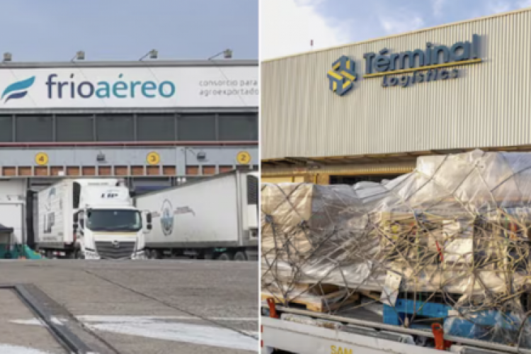 <p>Mexicana Términal Logistics entra a Perú: ¿cuáles son sus planes tras el joint venture con Frío Aéreo?</p>