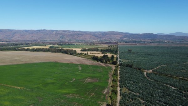 Proyecto eólico de francesa EDF por US$ 110 millones obtiene su aprobación ambiental