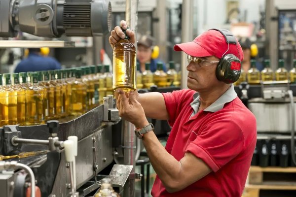 Exportaciones de pisco chileno crecen 27% en 2025 y superan los US$ 3,9 millones