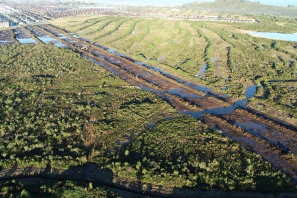Multan a Inmobiliaria Rossan por ejecutar obras al interior de humedal en Puerto Montt sin RCA