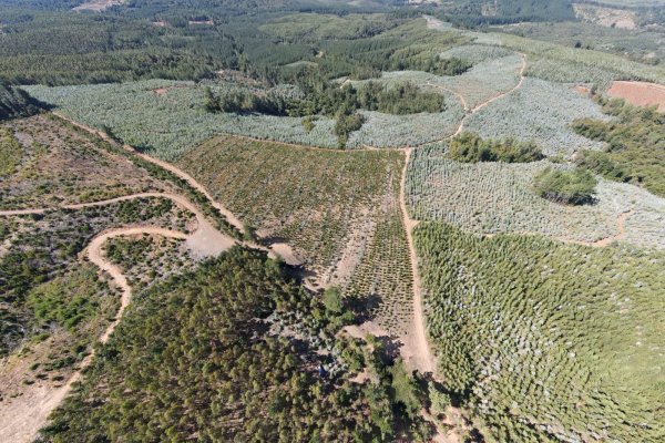 El proyecto de tierras raras que se incuba en Biobío para satisfacer a EEUU