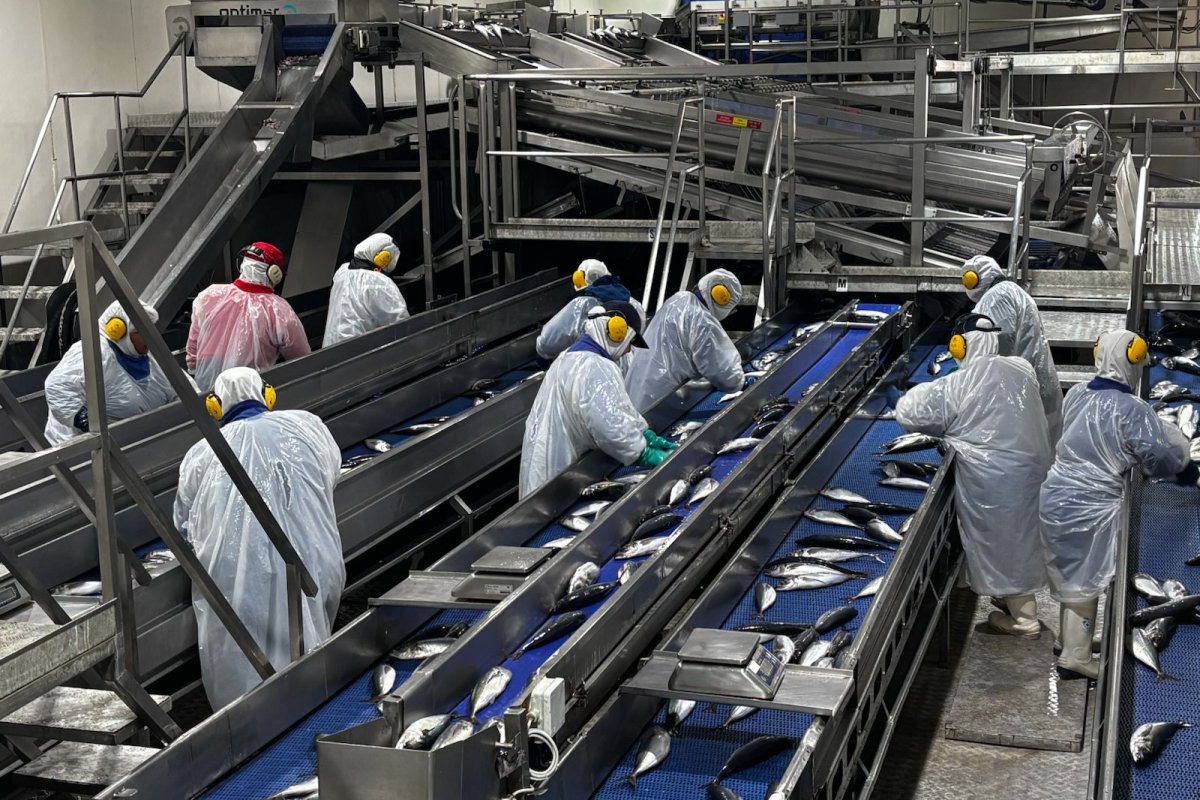 <p>FoodCorp se suma a ofensiva judicial de pesqueras y anuncia demanda contra el Estado que supera los US$ 100 millones</p>